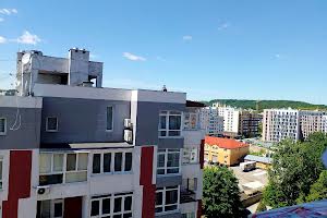 квартира за адресою Під Голоском вул., 17