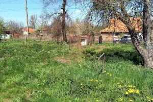 будинок за адресою Зелена