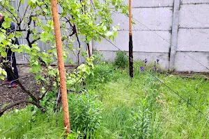 дом по адресу Новая ул.