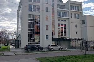 комерційна за адресою Праведниці Шулежко вул. (Пушкіна), 100/1