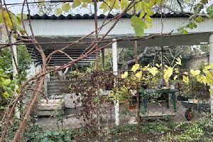 будинок за адресою Неделина, 2