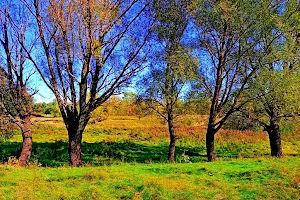 ділянка за адресою с. Клочків, Сновська