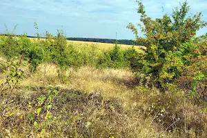 участок по адресу Сонячна