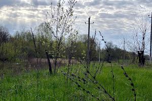 ділянка за адресою смт. Гостомель, Остромирська