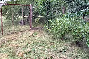 будинок за адресою Центральна