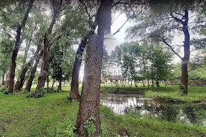 ділянка за адресою Єдності вул.