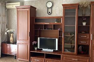 квартира за адресою Василя Барки вул. (Комбрига Петрова), 4