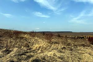 участок по адресу Івана Трясила