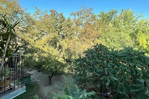 квартира по адресу Якова Остряницы ул., 8