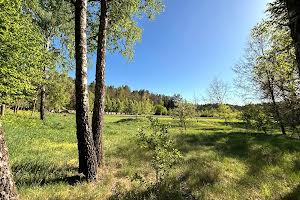 участок по адресу Джерельна