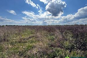 ділянка за адресою Довбуша