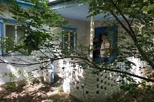 ділянка за адресою с. Ріжки, вул.Центральна 31
