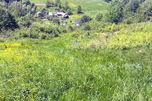 будинок за адресою Ювілейна вул.