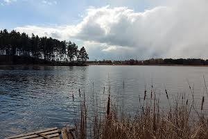 дом по адресу Центральна, 37