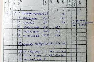 дом по адресу Центральна