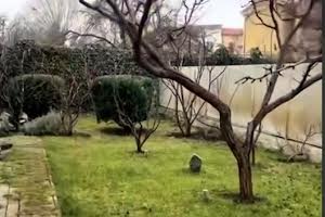 дом по адресу Стражевского