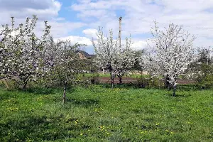 будинок за адресою Польова вул., 6