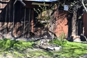 квартира по адресу вулиця Різдвяна, 54