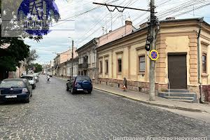 комерційна за адресою Йосипа Бурга вул. (Удонова), 1
