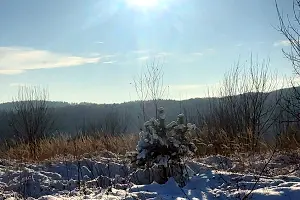 ділянка за адресою Молодіжна