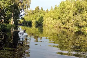 ділянка за адресою Озерна