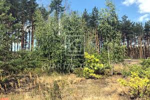 участок по адресу Незалежності
