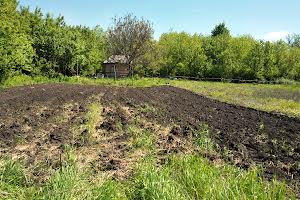 будинок за адресою с. Нижня Сироватка, Золота