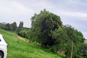 будинок за адресою с. Мшана, Художня вул.