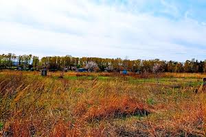 участок по адресу просп Миру