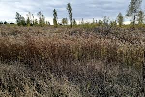 участок по адресу Белогородская ул.