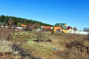 участок по адресу с. Петрушки, Патріотів, 18