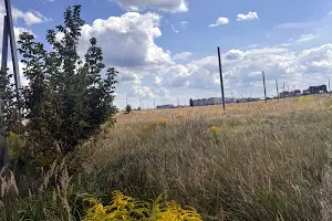 участок по адресу с. Петропавловская борщаговка, 