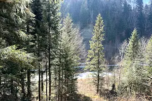 ділянка за адресою Івана Петраша вул.
