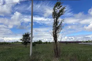ділянка за адресою Тополина вул., 55
