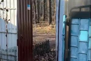 участок по адресу Дача Ковалевского