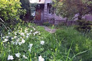 будинок за адресою смт. Аули, Василя  Стуса, 10