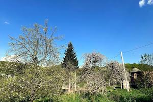 будинок за адресою с. Рокитне, Центральна