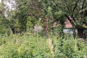 участок по адресу Вовчищовичі, 11