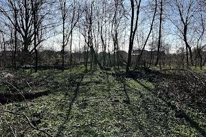 участок по адресу ювілейна, 9