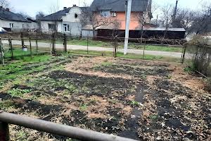 дом по адресу Кондукторская ул., 3