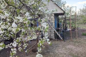 будинок за адресою Провулок Військовий, 16