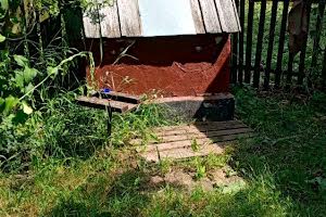 дом по адресу с. Головчинцы, Заярна, 4А