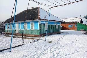дом по адресу Царинська