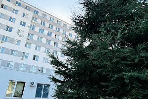 квартира по адресу Николая Боровского ул., 37х