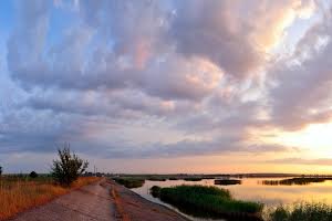 участок по адресу Грушевського
