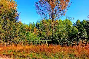 ділянка за адресою с. Клочків, Сновська