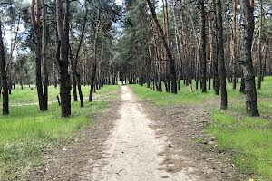 квартира за адресою Кам`янське (Дніпродзержинськ), Івана Франка просп., 26