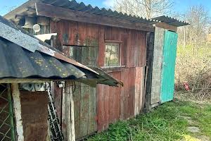 будинок за адресою Зелена