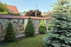 будинок за адресою Лисенка, 38