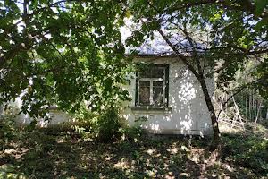 ділянка за адресою с. Ріжки, вул.Центральна 31
